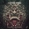 Choke Wire - "Recognize Your Demons" - CD