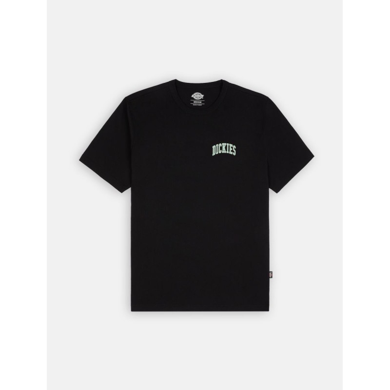 Dickies Aitkin T-Shirt Chest Print Black