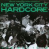 Compilation "New York City Hardcore: The Way It Is" 12" Vinyl (Red)