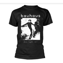 Bauhaus "Bela Lugosis Dead"...