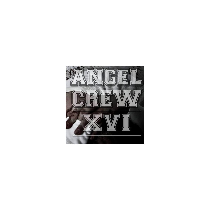 Angel Crew – "XVI" – LP